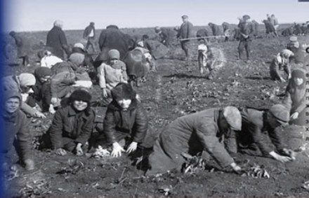 Реферат: Голод 1932-1933 р р